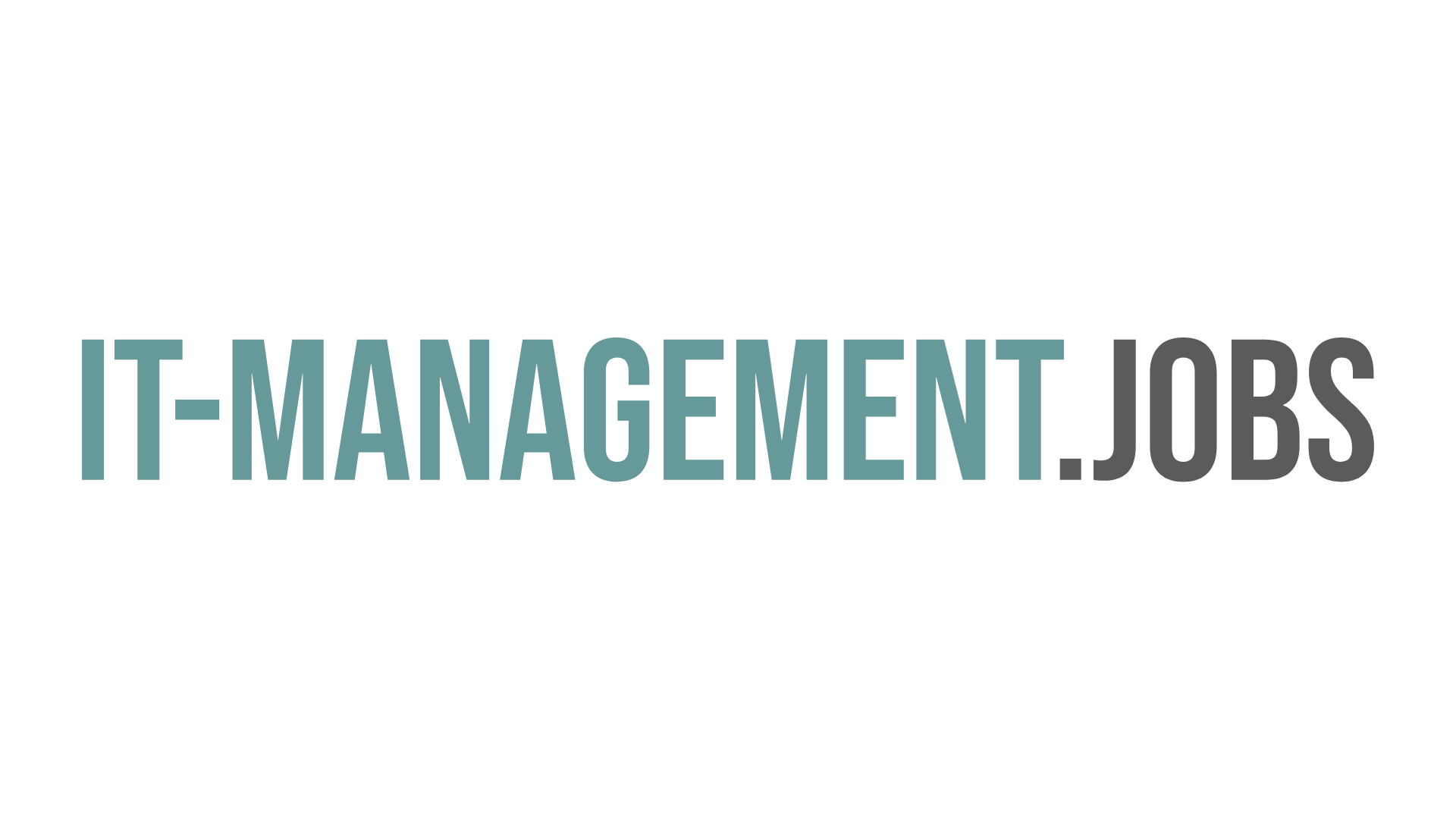IT-MANAGEMENT.JOBS